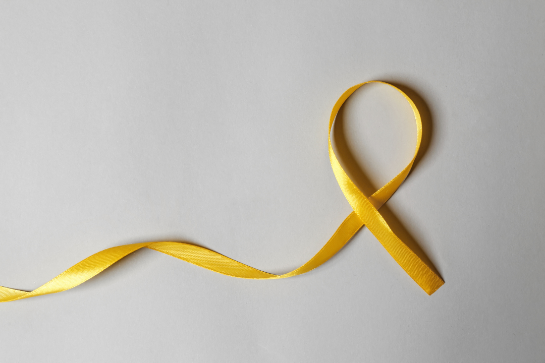 Setembro Amarelo Prígule